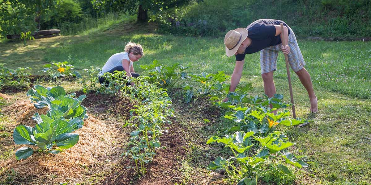 comment creér un jardin en permaculture